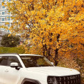 Отзывы реальных владельцев Haval H3 в 2026 году: что говорят при пробегах до 73 тысяч