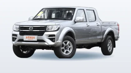 Dongfeng Rich