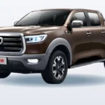 Great Wall Pao (04.2019 — 04.2023)