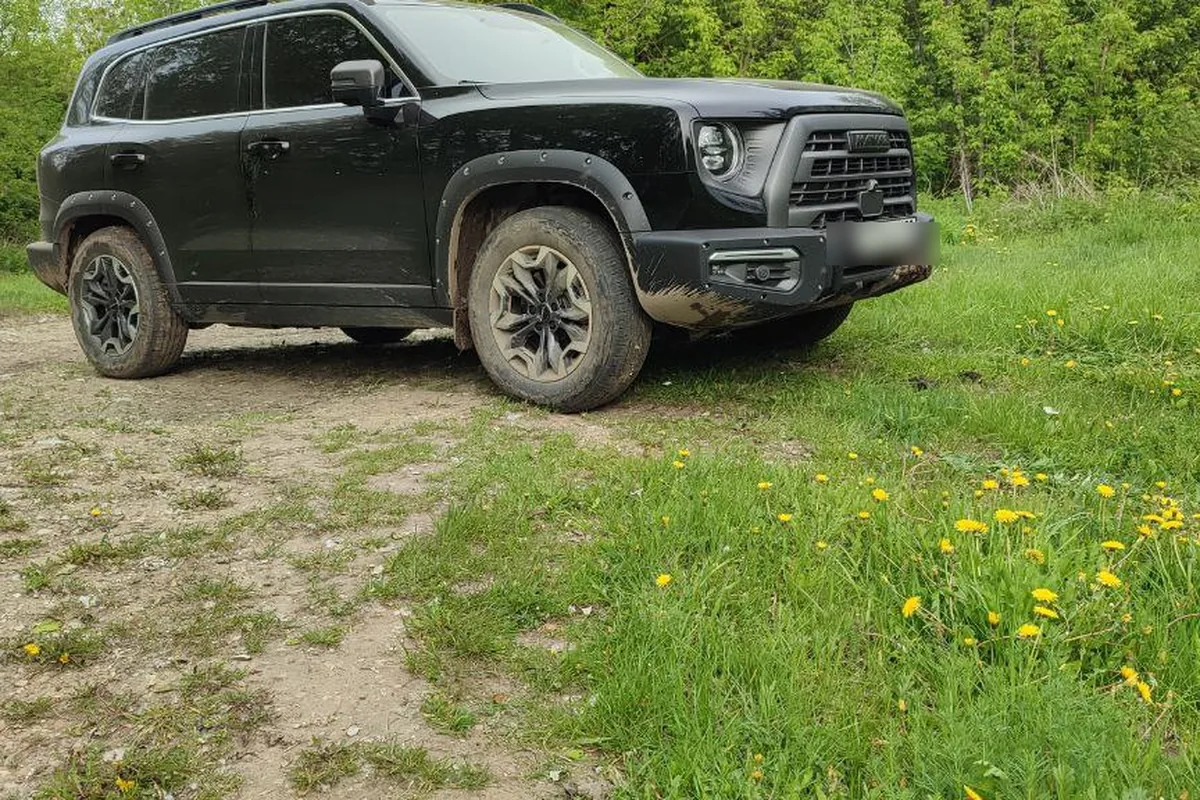 Haval Dargo на просёлочной дороге