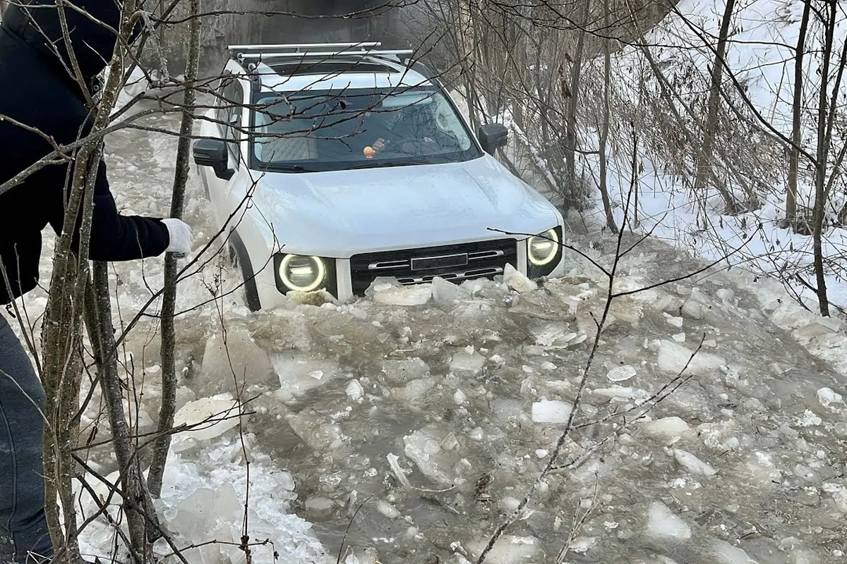 Белый Haval Dargo на снежном подъёме в лесу