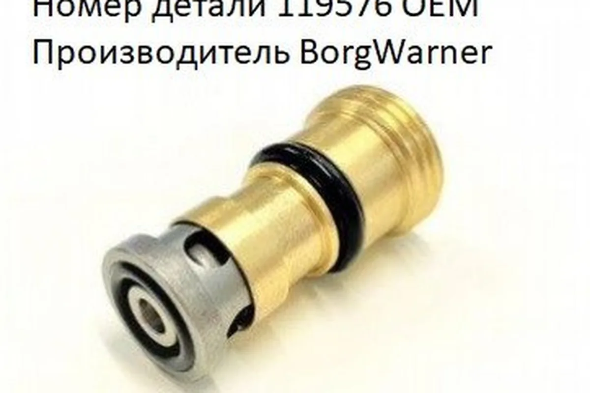Фильтр насоса муфты Haldex номер 119576 BorgWarner