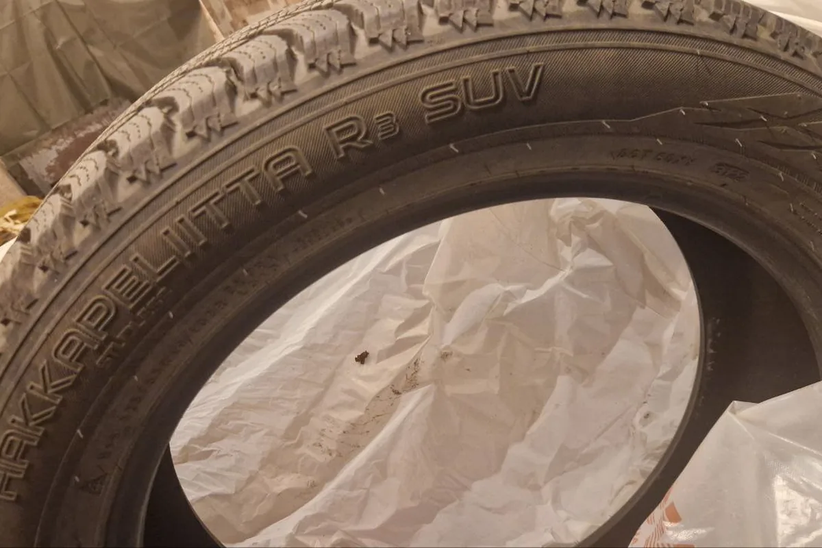 Зимняя шина Nokian Hakkapeliitta R3 SUV 225/55 R19