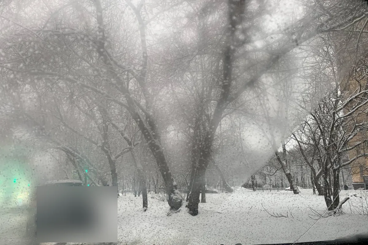 Запотевшее лобовое Форд Фокус: оттаяла только пассажирская сторона