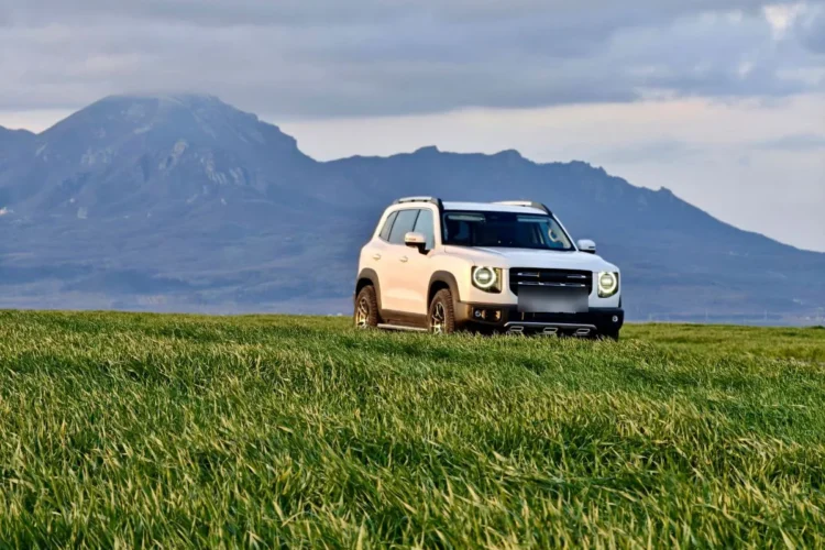 Белый Haval Dargo на зелёном поле, на фоне горы