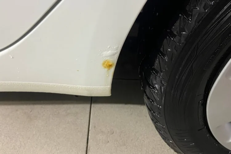 Очаг ржавчины на задней арке белого Kia Rio