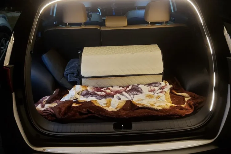 Светодиодная лента по проёму багажника Kia Sportage 4 ночью