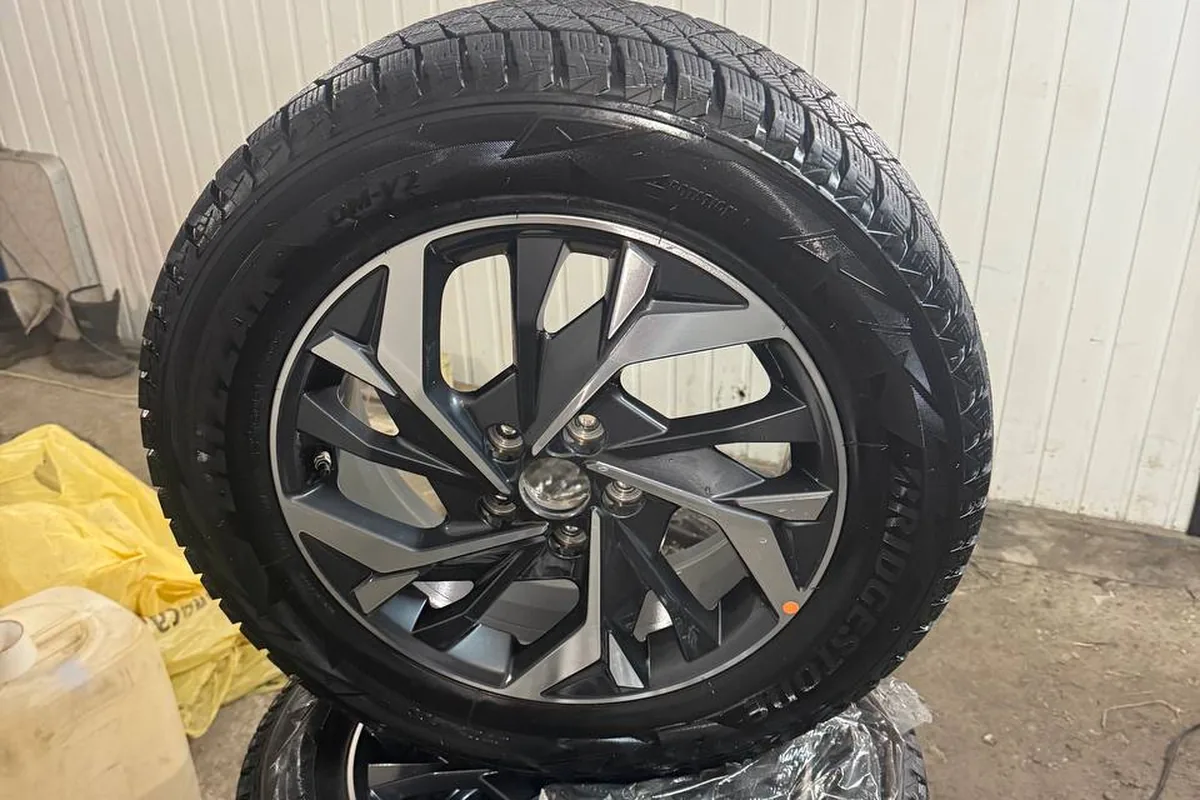 Колёса с липучкой Bridgestone Blizzak DM-V2 после сезона