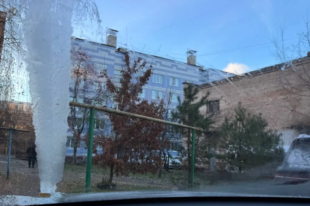 Лобовое стекло Omoda C5 оттаивает полосами