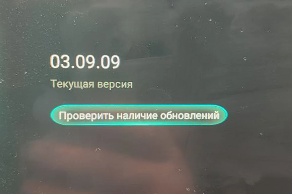 Экран проверки версии прошивки Omoda C5