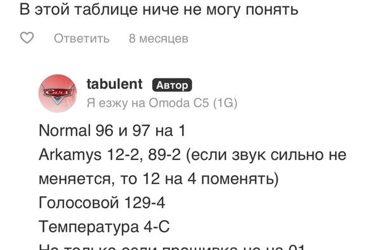 Коды активации скрытых функций Omoda C5