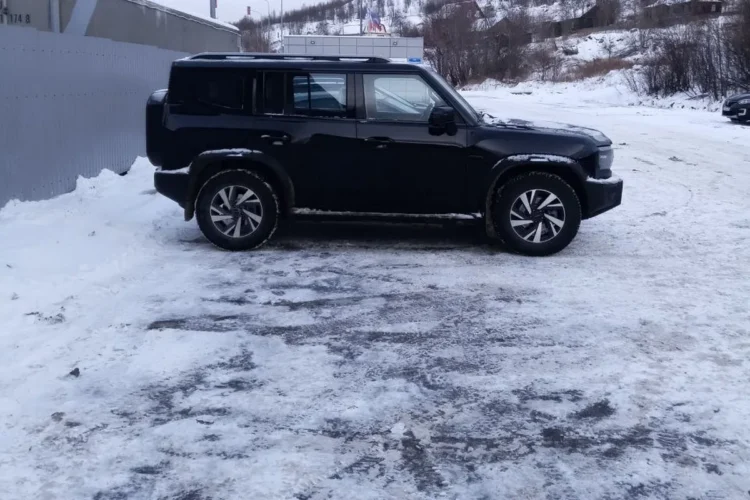 Чёрный Jetour T2 зимой на 18-дюймовых колёсах с резиной 265/65 R18