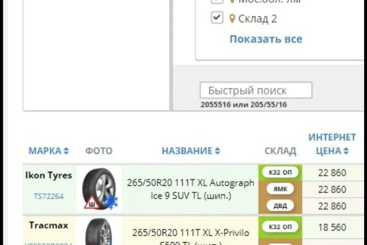 Подбор зимних шин 265/50 R20 у дилера с ценами Ikon, Triangle и Pirelli