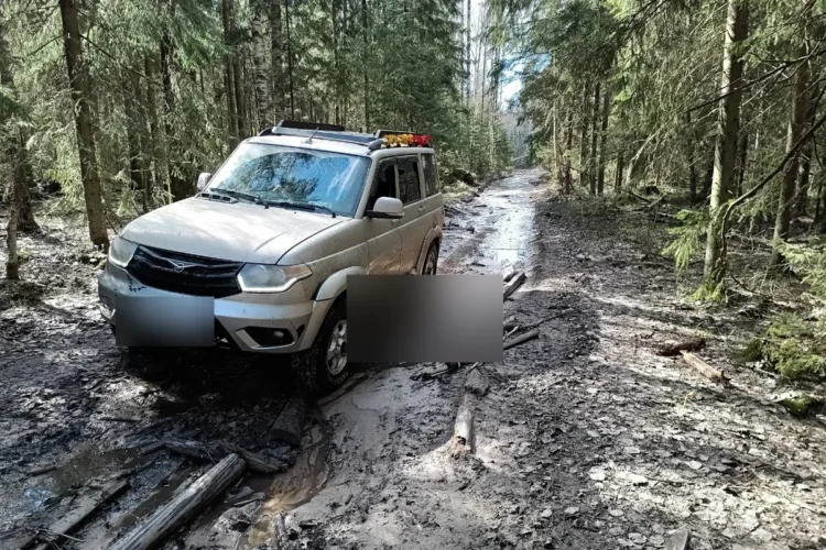 УАЗ Патриот на шинах 265/75 R16 со штатным вылетом дисков в лесной грязи