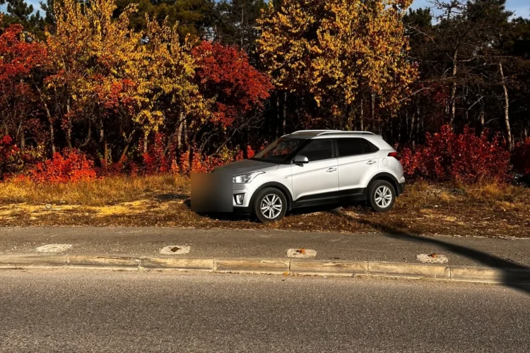 Серебристая Hyundai Creta первого поколения на фоне осеннего леса