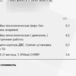 Замена масла в двигателе Chery Arrizo 8: какое лить, сколько входит и как часто менять