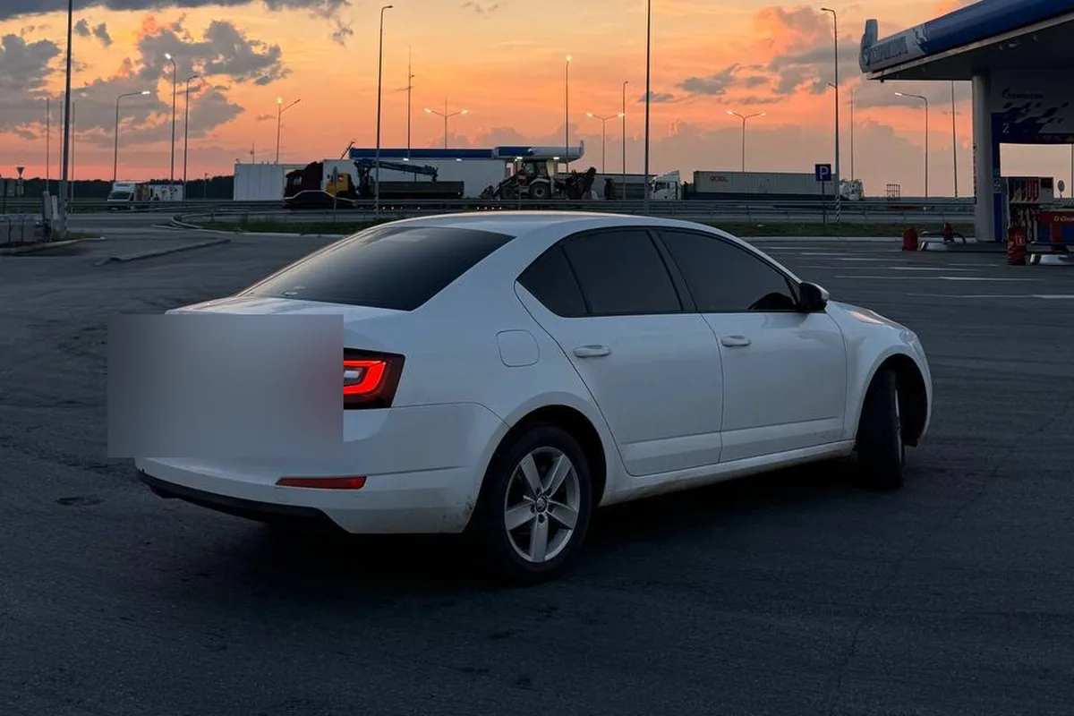 Skoda Octavia A7 дорестайлинг 2014 года, вид сзади