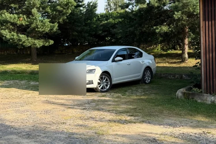 Белая Skoda Octavia A7 после рестайлинга на поляне