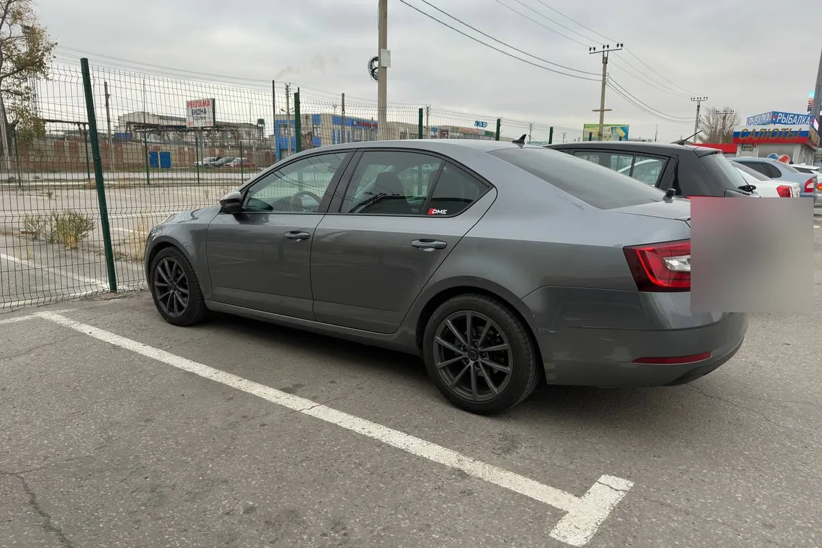 Skoda Octavia A7 на пружинах Eibach, вид сбоку сзади