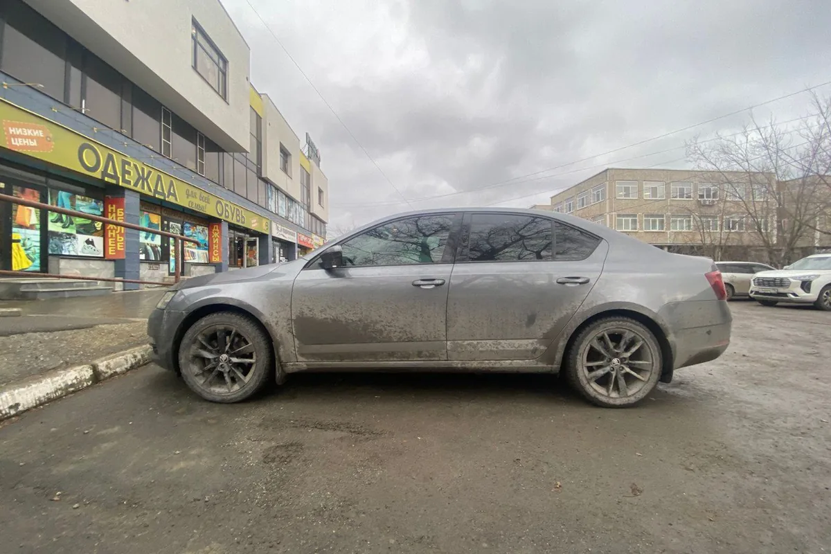 Skoda Octavia A7 после замены подвески, вид сбоку