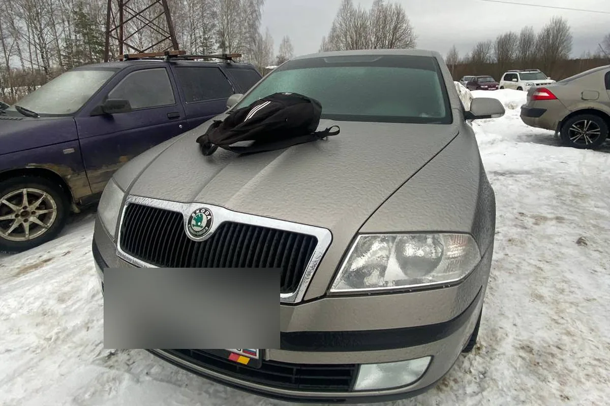Skoda Octavia A5 под ледяной коркой после морозной ночи