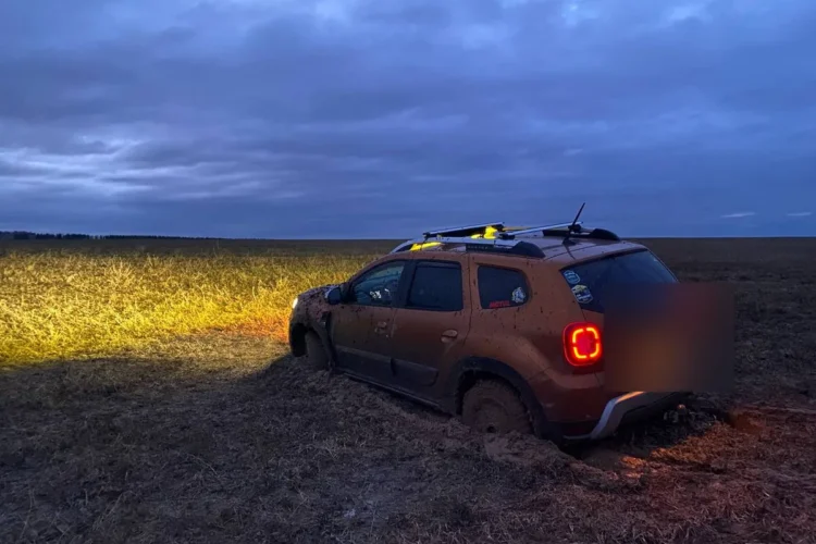 Renault Duster второго поколения в поле