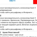 Катализатор Рено Дастер: когда умирает, как проверить и что будет после удаления