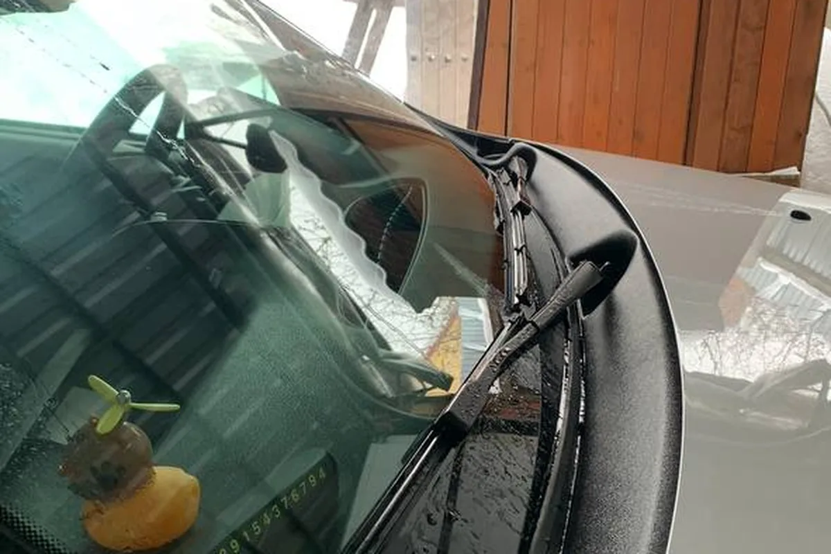 Листва в жабо под лобовым стеклом Renault Duster