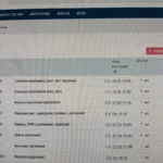 Сколько стоит ТО Рено Дастер: цены у дилера и в сервисе по годам