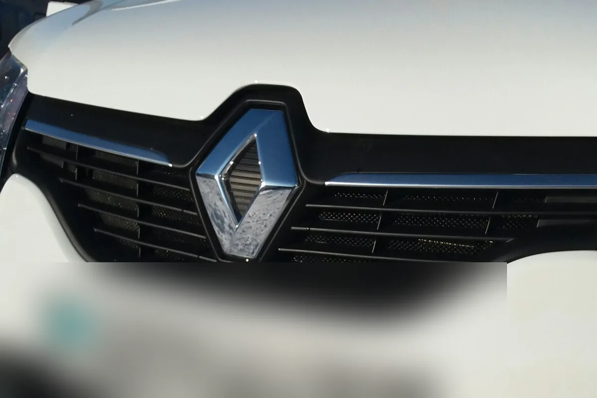 Самодельная крашеная сетка радиатора на Renault Logan 2