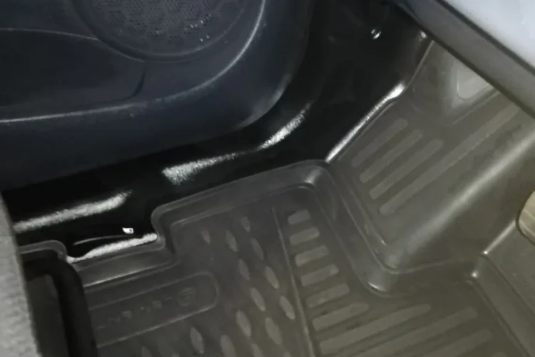 Накладка на порог и коврик в салоне Renault Logan 2