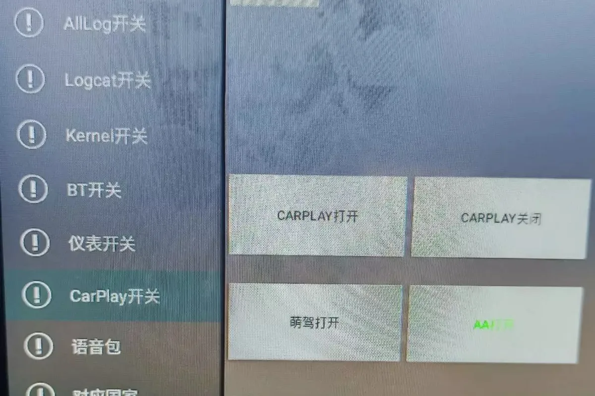 Кнопки CarPlay и Android Auto в инженерном меню Exeed LX